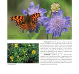 Wildlife of the Pennine Hills