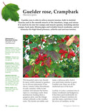 Hedgerow Medicine