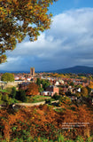 The Concise History of Ludlow