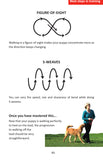 Training Your Puppy