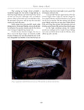 Trout from a Boat