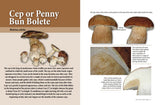 Mushrooming without Fear