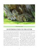 The Otter