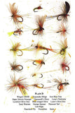 The Dry Fly