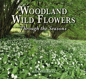 Woodland Wild Flowers