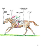Horse Racing Terms